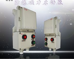 防爆水泵控制箱定做 0.75kw配電箱廠家批發價格圖片 高清大圖 谷瀑環保